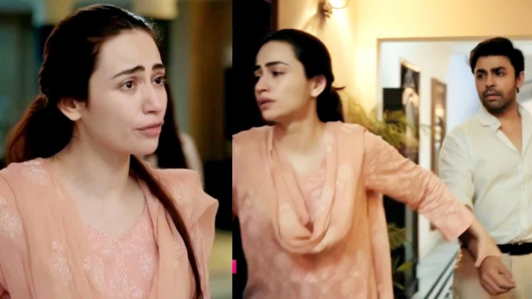 Bas Tera Saath Ho: 5 Reasons We’re on Ansa’s Side
