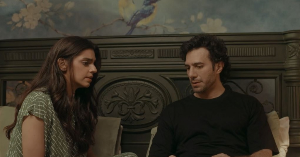 Sara and Shehryar discussing taking in Diya in Gulbahar latest episode